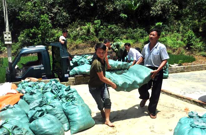 Nông dân bản Đồng Ruộng, xã Kiên Thành, huyện Trấn Yên thu hoạch măng tre Bát độ.