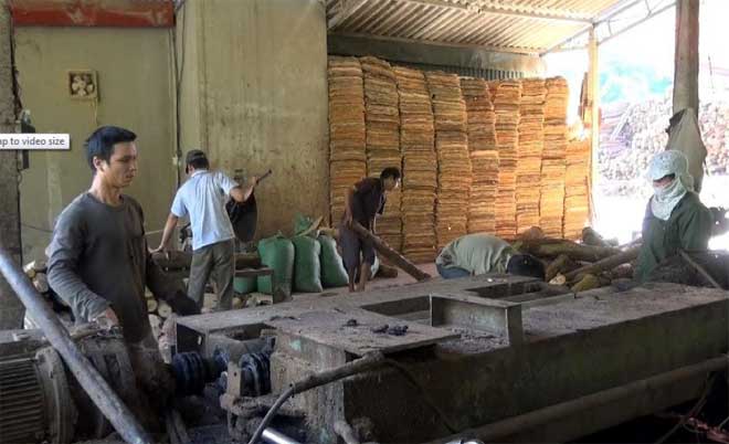 Cơ sở chế biến gỗ bóc của anh Vũ Văn Đô tạo việc làm thường xuyên cho 10 lao động với thu nhập từ 6 - 7 triệu đồng/tháng.