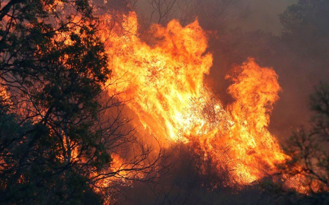 Cháy rừng ở Australia.