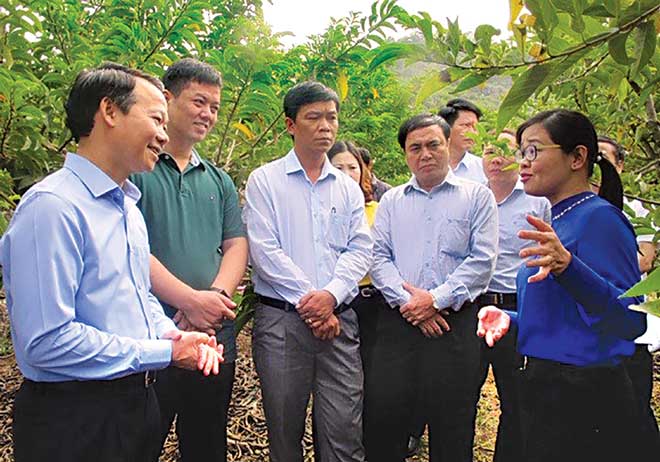 Đồng chí Đỗ Đức Duy - Phó Bí thư Tỉnh ủy, Chủ tịch UBND tỉnh (ngoài cùng, bên trái) và đoàn công tác của tỉnh tham quan, trao đổi kinh nghiệm sản xuất nông nghiệp tại tỉnh Sơn La.