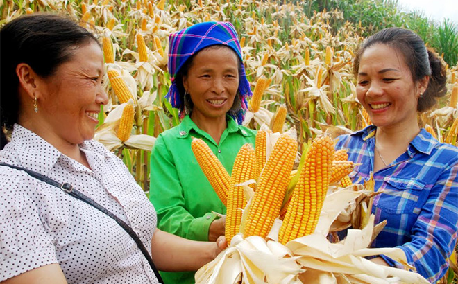 Hội viên phụ nữ huyện Trạm Tấu lồng ghép tuyên truyền đẩy lùi tình trạng tảo hôn, hôn nhân cận huyết thống tại cơ sở.