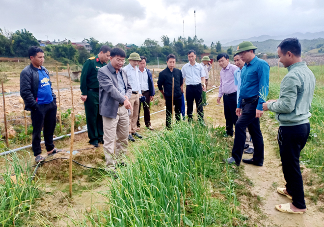 Lãnh đạo Bộ Chỉ huy Quân sự tỉnh và huyện Mù Cang Chải tham quan mô hình trồng tỏi tại xã Nậm Khắt.