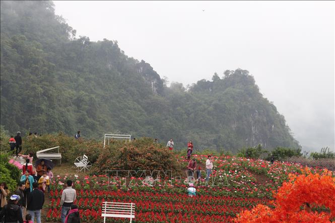 Du khách tham quan các địa điểm du lịch tại Bình nguyên xanh Khai Trung, xã Khai Trung, huyện Lục Yên.