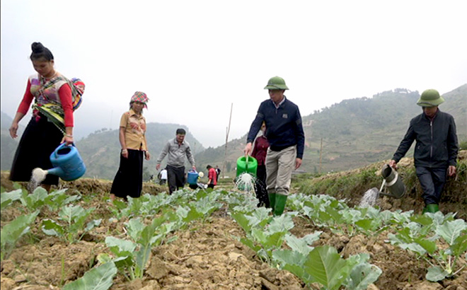 Lãnh đạo huyện Trạm Tấu hướng dẫn nông dân trồng, chăm sóc rau vụ đông.