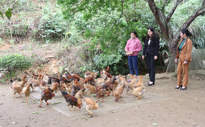 Bà Hà Thị Đóa - Phó Chủ tịch Hội LHPN tỉnh thăm mô hình làm kinh tế giỏi của gia đình chị Hoàng Thị Hướng, thôn Làng Câu, xã Tân Hợp, huyện Văn Yên.