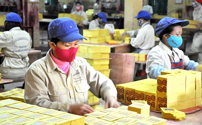 Công nhân Công ty cổ phần Lâm nông sản thực phẩm trong dây chuyền sản xuất giấy đế.