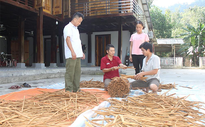 Gia đình anh Đinh Xuân Chinh ở thôn Đá Khánh (thứ 2, trái sang) có thu nhập cao từ cây quế.