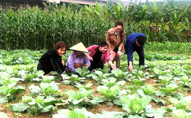 Giáo viên và phụ huynh học sinh Trường Mầm non Yên Hợp kiểm tra cơ sở cung ứng rau xanh cho nhà trường.