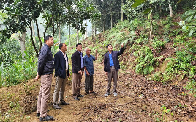 Ông Hoàng Xuân Long (người ngoài cùng bên phải) - Phó Chủ tịch Thường trực Hội Nông dân tỉnh thăm mô hình phát triển kinh tế từ rừng của hội viên nông dân thôn Tân Phong, xã Tân Nguyên, huyện Yên Bình.