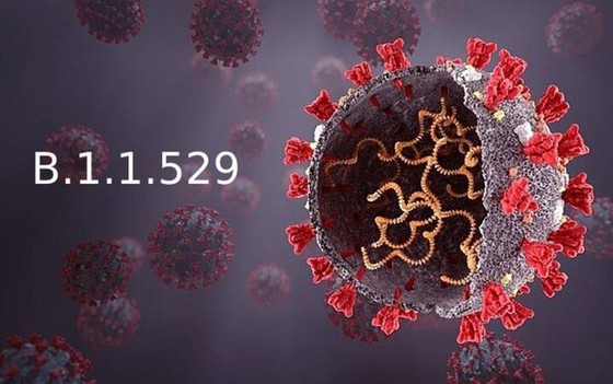 Biến chủng Omicron của virus SARS-CoV-2 đang gây ra mối lo ngại toàn cầu về một đợt dịch Covid-19 mới.