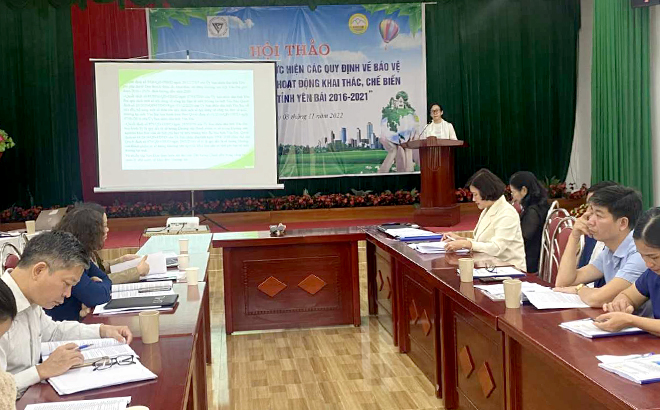Quang cảnh tại Hội thảo đánh giá tác động thực hiện các quy định về bảo vệ môi trường thông qua hoạt động khai thác, chế biến khoảng sản tại tỉnh Yên Bái.