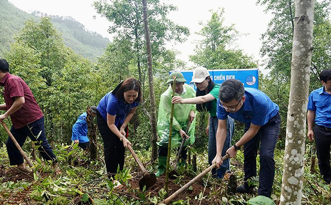 Cán bộ dự án “Thanh âm xanh - Âm nhạc dẫn lối rừng xanh” cùng đại diện chính quyền, Tỉnh đoàn Yên Bái ra quân trồng 10.000 cây tre Mạy Khao Lam tại huyện Mù Cang Chải.