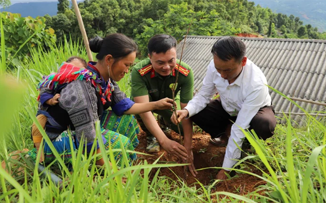 Chính quyền các cấp huyện Mù Cang Chải hướng dẫn người dân trồng cây ăn quả