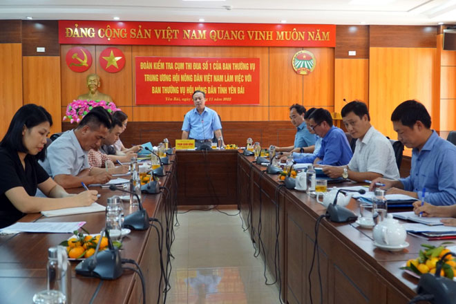 Đồng chí Phạm Xuân Hồng - Ủy viên Đảng đoàn, Trưởng ban Tổ chức Trung ương Hội, Trưởng đoàn kiểm tra chủ trì buổi làm việc.

