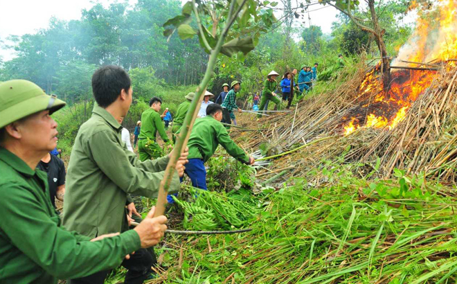 Các lực lượng tham gia dập lửa tại cuộc diễn tập ứng phó cháy rừng và TKCN tại huyện Lục Yên