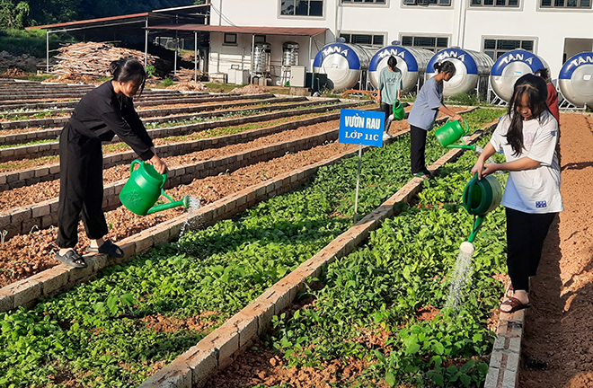 Học sinh Trường phổ thông DTNT THPT tỉnh Yên Bái chăm sóc vườn rau, tạo nguồn thực phẩm phục vụ cho bữa ăn nội trú.
