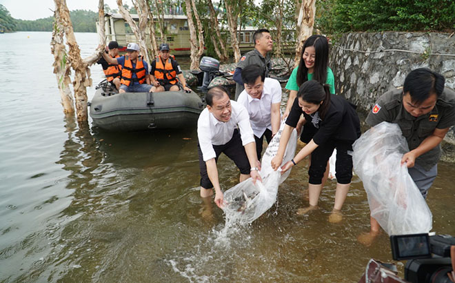 Lãnh đạo UBND huyện Yên Bình cùng Công ty cổ phần Thương mại và Du lịch hồ Thác Bà, Trung tâm Thủy sản Yên Bái thả cá giống bổ sung xuống hồ Thác Bà