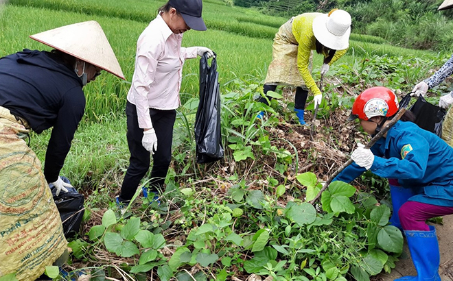 Nhân dân xã Hưng Khánh, huyện Trấn Yên thu gom rác thải vệ sinh môi trường nông thôn.