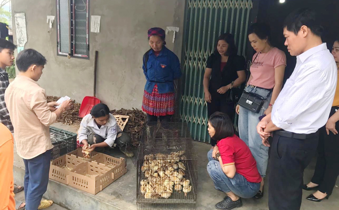 Các cơ quan, đơn vị trên địa bàn huyện Văn Yên, Yên Bái đã huy động xã hội hóa 459 triệu đồng hỗ trợ các hộ nghèo trên địa bàn. (Ảnh minh họa)
