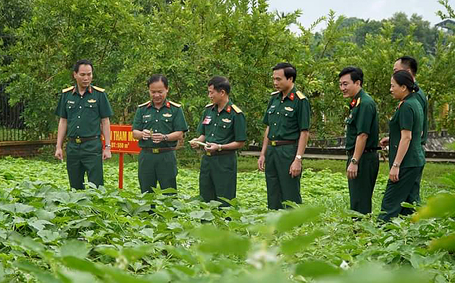 Ban CHQS huyện Văn Yên đã triển khai thực hiện tốt công tác tăng gia sản xuất, nâng cao đời sống bộ đội.