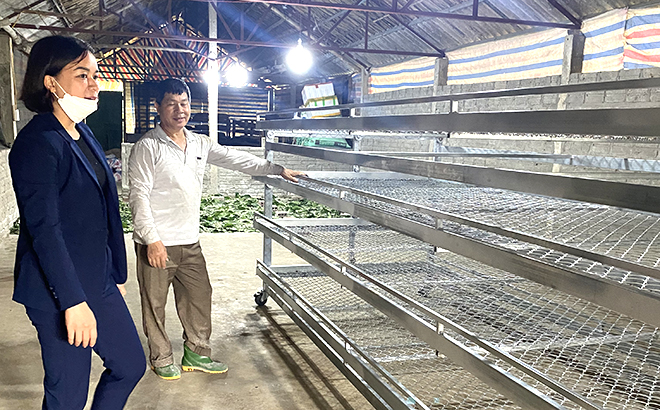 Nông dân xã Việt Thành, huyện Trấn Yên được hỗ trợ giàn khay trượt để nuôi tằm.