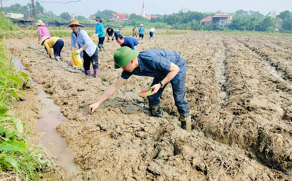 Bí thư Huyện ủy Văn Yên Luyện Hữu Chung xuống đồng trồng ngô vụ đông sau đợt mưa lũ do ảnh hưởng hoàn lưu bão số 3 với người dân xã Xuân Ái.