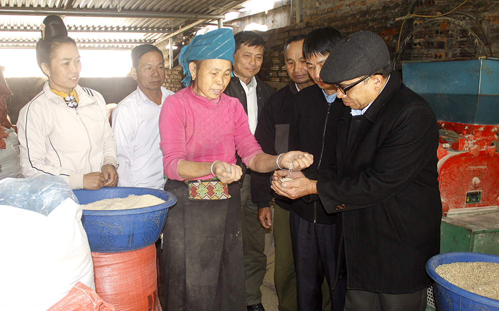 Bà Hoàng Thị Pọm trao đổi với lãnh đạo Hội Người cao tuổi huyện Trạm Tấu về phát triển kinh tế gia đình.