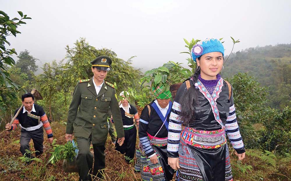 Yên Bái chú trọng phát triển lâm nghiệp đa mục tiêu, quản lý, bảo vệ rừng, nâng cao chất lượng, hiệu quả rừng trồng gỗ lớn.