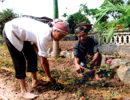 Ông Âu cùng vợ chăm sóc những luống hoa của gia đình.