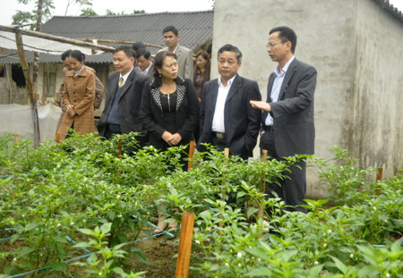 Đồng chí Nguyễn Lâm Thắng- Chủ tịch UBND thành phố  Yên Bái (người ngoài cùng bên phải) giới thiệu với đoàn cán bộ cấp cao thành phố Lào Cai mô hình trồng ớt xuất khẩu tại xã Tuy Lộc.
