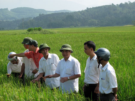 Đồng chí Trần Thế Hùng (thứ 3, phải sang) - Bí thư Huyện ủy Văn Yên kiểm tra sản xuất tại cánh đồng Đại - Phú - An.