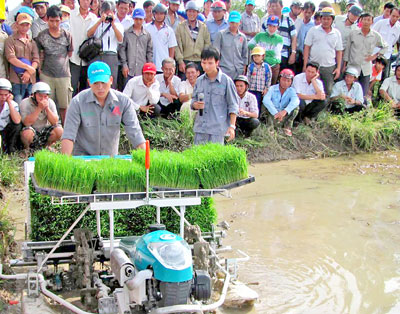 Thao diễn máy cấy lúa trên đồng ruộng Bạc Liêu.