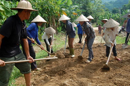 Người dân xã Mai Sơn (Lục Yên) tham gia làm đường
giao thông nông thôn.
