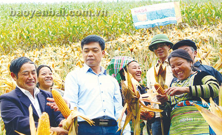 Lãnh đạo huyện Trạm Tấu và cán bộ ngành nông nghiệp chung vui với nông dân xã Trạm Tấu về một vụ ngô thắng lợi.
