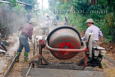 Lãnh đạo UBND xã Đông Cuông kiểm tra sản xuất ngô đông.