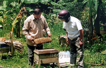 Cựu chiến binh Hoàng Giang Nam giới thiệu kinh nghiệm chăm sóc, bảo vệ ong.

