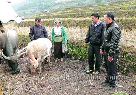 Lãnh đạo xã Xà Hồ tuyên truyền vận động bà con cách phòng chống rét cho gia súc.
