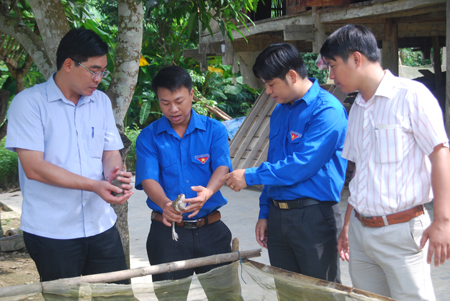 Đồng chí Nông Việt Yên (ngoài cùng bên trái)- Bí thư Tỉnh đoàn Yên Bái thăm mô hình nuôi ếch, cá của Bí thư Đoàn xã Yên Thắng Nguyễn Quang Thuần, huyện Lục Yên.