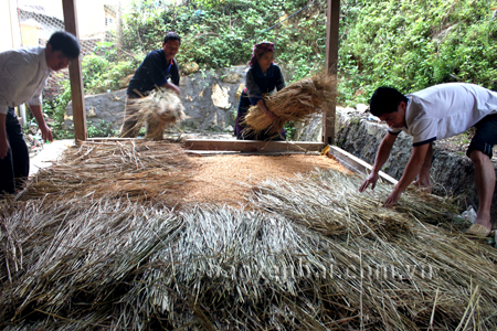 Cán bộ Trạm Khuyến nông huyện hướng dẫn bà con ngâm ủ mạ tập trung.