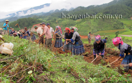 Bà con người Mông xã Púng Luông giúp nhau khai hoang ruộng nước.