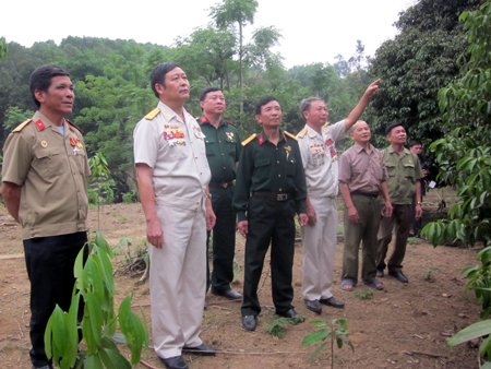 CCB huyện Văn Yên thăm mô hình phát triển cây ăn quả của gia đình hội viên Triệu Đình Khỏe ở thôn Khe Hỏa, xã Tân Hợp.