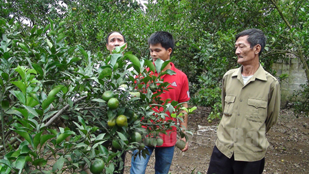 Anh Mông Văn Tiềm (giữa) trao đổi kinh nghiệm trồng cây ăn quả với bà con trong thôn.