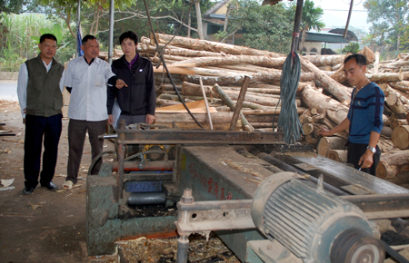 Xưởng sản xuất và chế biến gỗ rừng trồng của thương binh, giáo dân Nguyễn Duy Khiêm tạo việc làm thường xuyên cho 20 lao động địa phương.