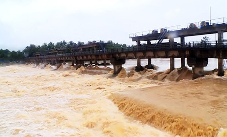 Lũ cuồn cuộn trên sông tại huyện Hoài Nhơn.