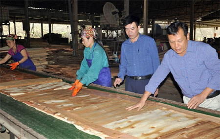 Lãnh đạo Phòng Lao động - Thương binh và Xã hội huyện Yên Bình và Công ty cổ phần Yên Thành kiểm tra sản xuất tại xưởng chế biến gỗ.