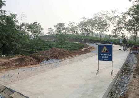 Tên đường Hoàng Thi thuộc huyện Yên Bình, tỉnh Yên Bái có hiệu lực từ 12/12/2018 theo quyết định của UBND tỉnh Yên Bái.