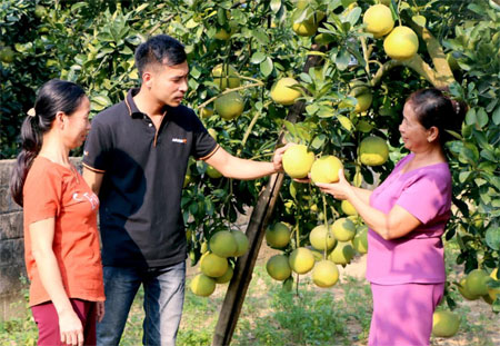 Với nguồn thu ổn định, gia đình chị Đỗ Thị Lý, xã Bạch Hà có điều kiện đóng góp, nâng cao chất lượng các tiêu chí trong xây dựng nông thôn mới.