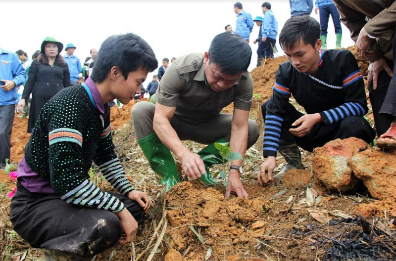 Cán bộ Hội Doanh nhân trẻ cùng các đoàn viên thanh niên trồng cây gáo vàng tại thôn Khuôn Bổ, xã Hồng Ca, huyện Trấn Yên.