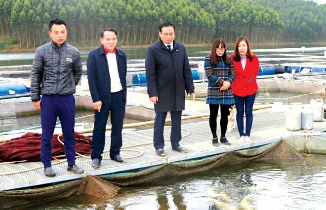 Hết tháng 11/2019, sản lượng khai thác thủy sản của Yên Bình đạt gần 9.000 tấn, bằng 187,2% kế hoạch tỉnh giao.