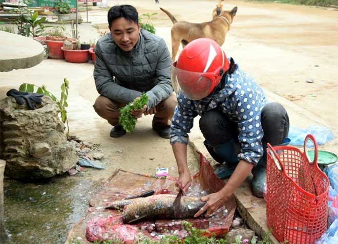 Bình quân mỗi ngày, chị Vũ Thị Liên bán được thêm khoảng 10 kg cá các loại so với trước khi giá thịt lợn tăng cao.